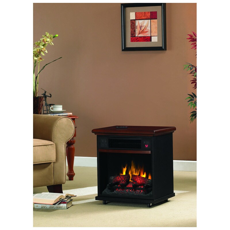 Bell'O Fireplace Insert 23EF010
