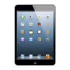 Apple iPad® Mini 16GB Wi-Fi with 7.9" Multitouch Screen - Black