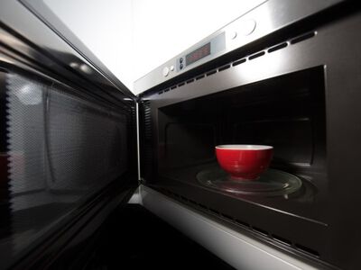 Microwave Buying Guide