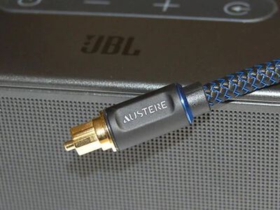 Perfect Pairings: Austere and JBL