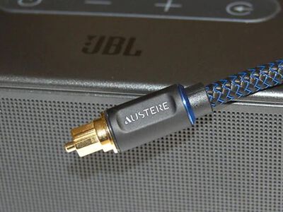 Perfect Pairings: Austere and JBL