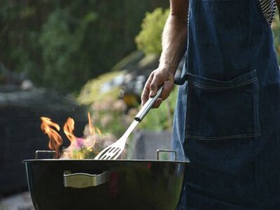 The Ultimate Beginner&rsquo;s Guide to Backyard BBQ