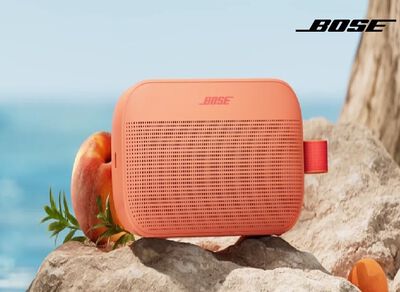 New Bose Outdoor Bluetooth Speakers