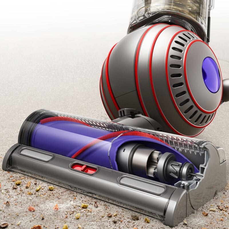 Dyson Ball Animal 3 Bagless Pet Upright Vacuum with 4 Additional Tools, , hires