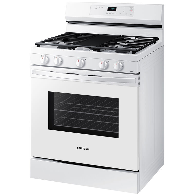 Samsung 30 in. 6.0 cu. ft. Smart Convection Oven Freestanding ...
