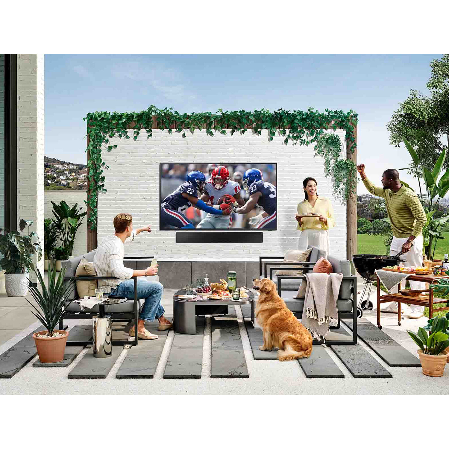 Samsung - The Terrace Series 65