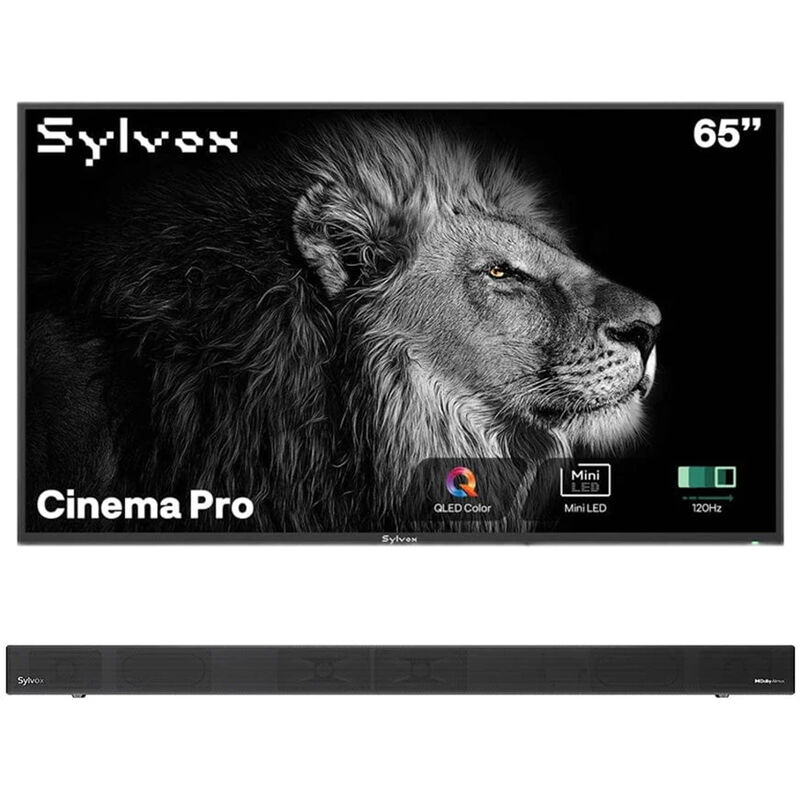 Sylvox - Cinema Pro 65" Class Full Sun 4K UHD QLED Smart Google Outdoor TV, , hires