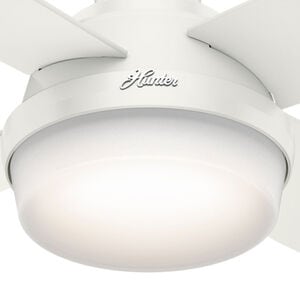 Hunter Dempsey 52 in. Low Profile Ceiling Fan with LED Light Kit and Handheld Remote - Fresh White, Fresh White, hires
