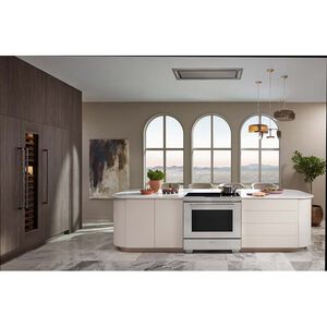 Wolf 48 in. Convertible Ceiling Style Range Hood with 2 LED Lights - Stainless Steel, , hires