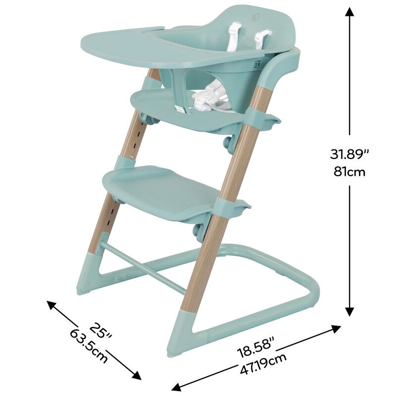Evenflo RightSeat Multi-Stage High Chair - Saqe, Sage Green, hires