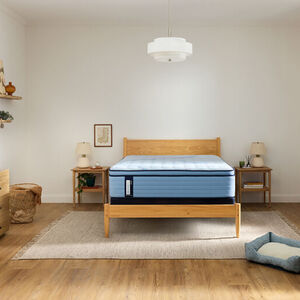 Sealy Plainfield Posturepedic Plus Firm Euro Top Innerspring Full Size Mattress, , hires
