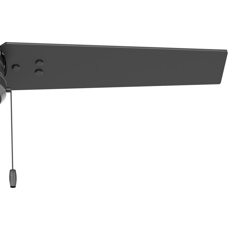 Hunter Cassius 44 in. Indoor/Outdoor Ceiling Fan - Matte Black, Matte Black, hires