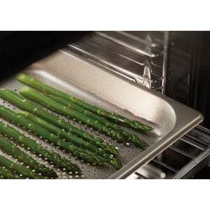 Fisher & Paykel Series 11 24 in. 3 cu. ft. Smart Steam Electric Single Wall Oven with Standard Convection - Black, , hires