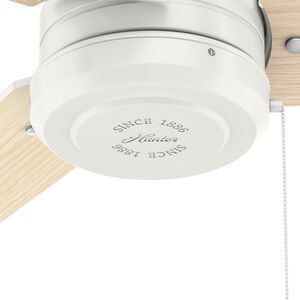 Hunter Cassius 44 in. Indoor/Outdoor Ceiling Fan - Fresh White, Fresh White, hires