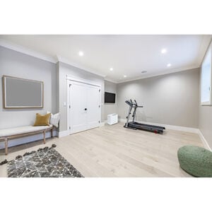 Frigidaire 50 Pint Energy Star Dehumidifier with 2 Fan Speeds - White, , hires