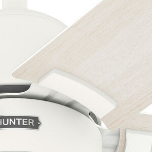 Hunter 52 in. Erling Energy Star Ceiling Fan with LED Light Kit & Handheld Remote - Fresh White, Fresh White, hires