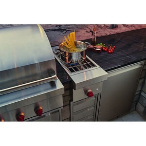 Wolf 42 in. 4-Burner Built-In Natural Gas Grill with Rotisserie, Sear Burner & Smoker Box - Stainless Steel, , hires