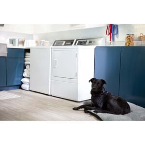 Speed Queen DR7 27 in. 7.0 cu. ft. Electric Dryer with Pet Plus Cycle, Sensor Dry, Sanitize & Steam Cycle - White, White, hires