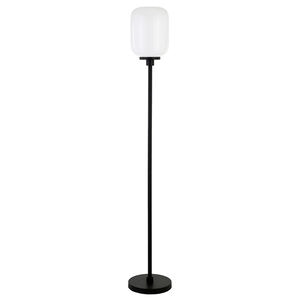 Hudson & Canal Agnolo Blackened Bronze Floor Lamp wi+D78th White Milk Glass Shade, , hires