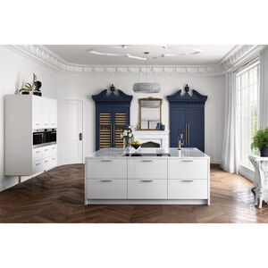 Wolf E Series 24 in. 1.7 cu. ft. Steam Electric Single Wall Oven with Standard Convection - Stainless Steel, , hires