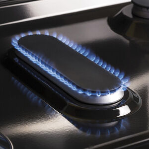 GE 30 in. 5 cu. ft. Gas Range with 5 Sealed Burners & Griddle - Slate, Slate, hires