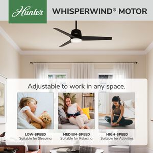 Hunter Malden 52 in. Ceiling Fan with LED Light Kit & Handheld Remote - Matte Black, , hires