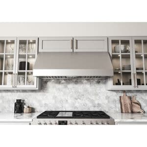 Zephyr Tempest II Series 42 in. Convertible Canopy Pro Style Style Range Hood with 650 CFM, 6 Fan Speeds & 2 LED Lights - Stainless Steel, , hires