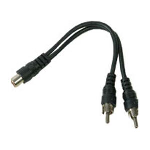 RCA Female to 2 Male "Y" Cable, , hires