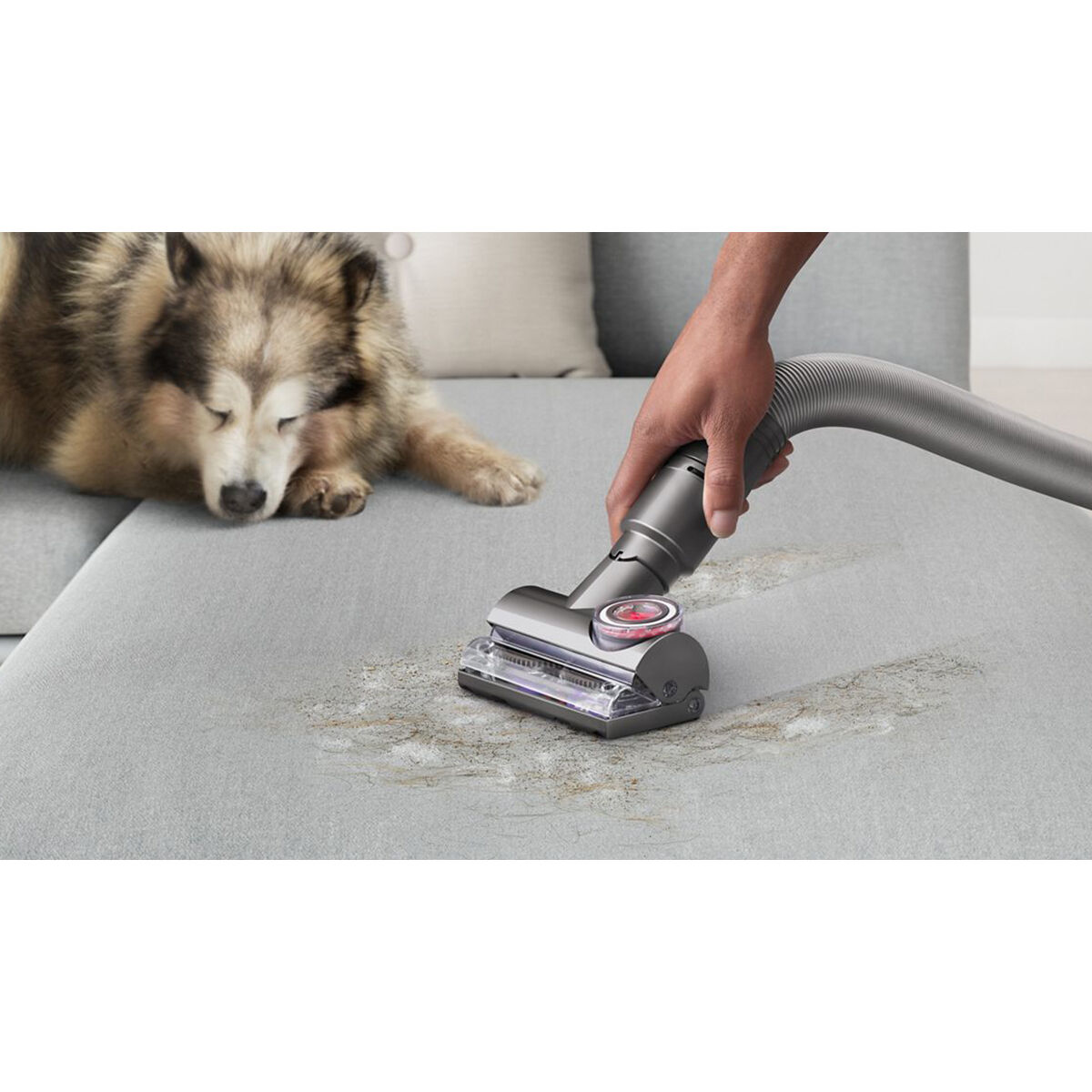 Dyson Ball Animal 3 Bagless Pet Upright Vacuum with 2 Additional
