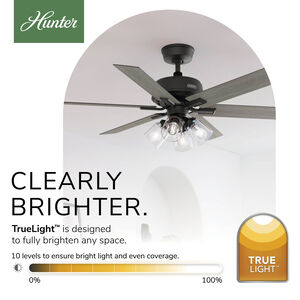 Hunter 52 in. Fonthill Energy Star HunterExpress Ceiling Fan with LED Light Kit & Handheld Remote - Matte Black, Matte Black, hires