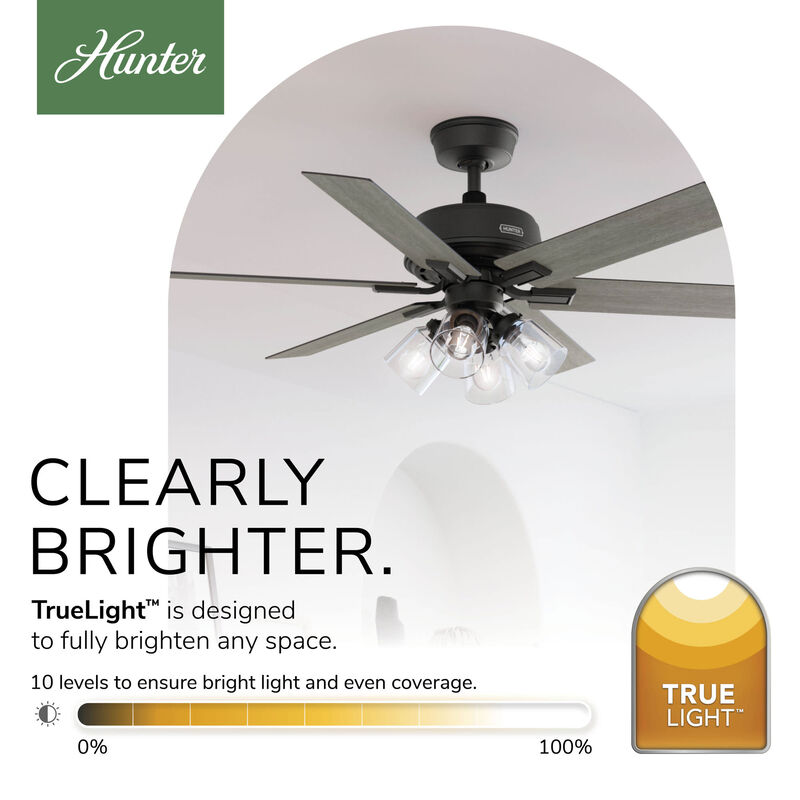 Hunter 52 in. Fonthill Energy Star HunterExpress Ceiling Fan with LED Light Kit & Handheld Remote - Matte Black, Matte Black, hires