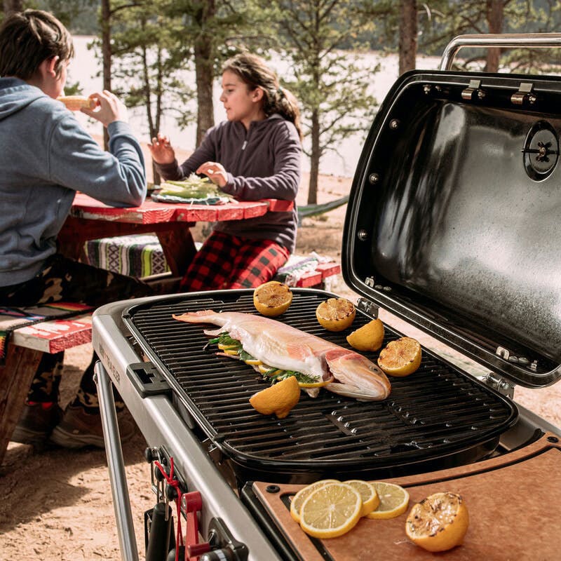 Weber propane new arrivals grill portable
