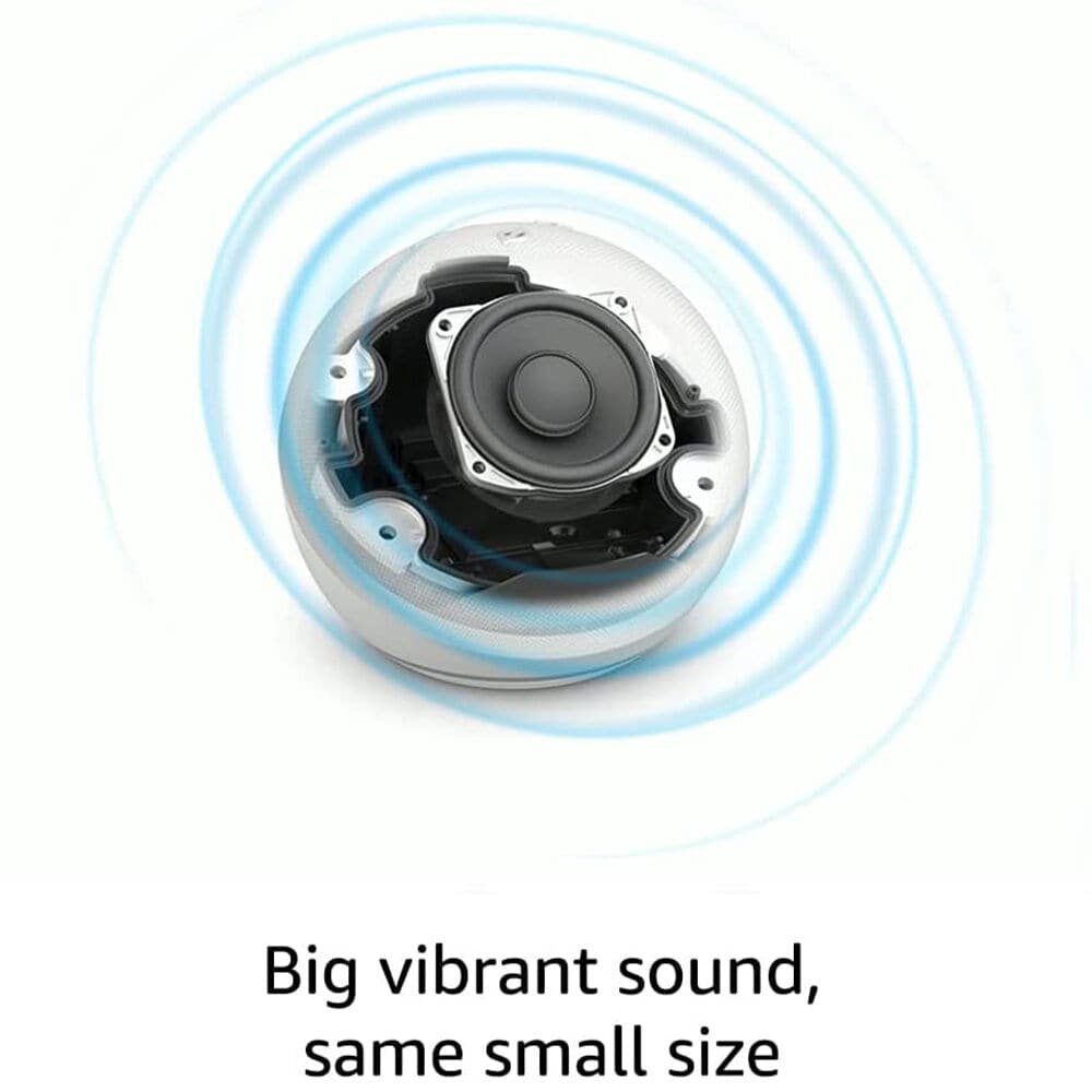 2 best sale echo dot