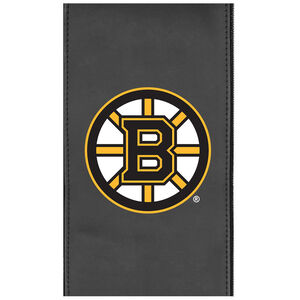 Boston Bruins Primary Logo Panel, , hires