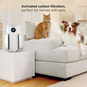 Shark NeverChange Air Purifier, , hires