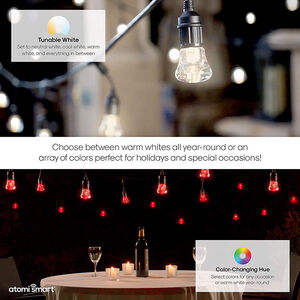 Atomi smart 2nd Gen. Color-Changing Cafe String Lights - 48ft, Brighter LED Lights, 24 AcrylicBulbs, , hires