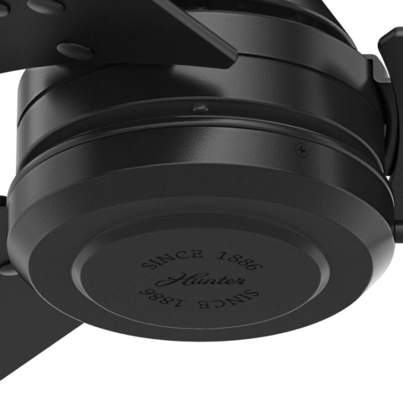 Hunter Cassius 52 in. Indoor /Outdoor Ceiling Fan - Matte Black, Matte Black, hires
