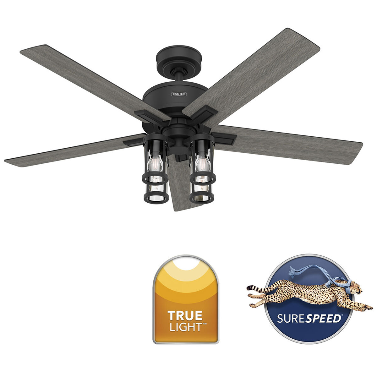 Hunter 52 in. Astwood II Ceiling Fan with LED Light Kit & Handheld