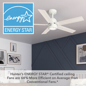 Hunter 52 in. Erling Energy Star Ceiling Fan with LED Light Kit & Handheld Remote - Fresh White, Fresh White, hires
