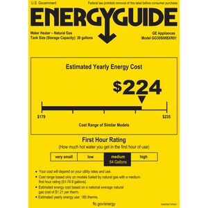 GE RealMax Choice Natural Gas 30 Gallon Short Water Heater with 8-Year Parts Warranty, , hires