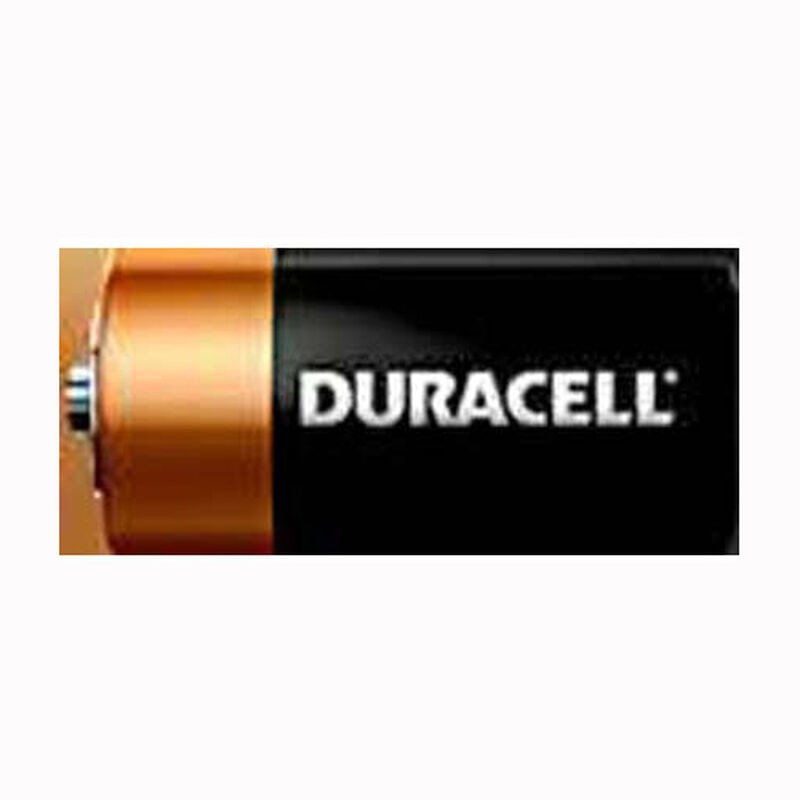 Duracell D Batteries (4 Pack), , hires