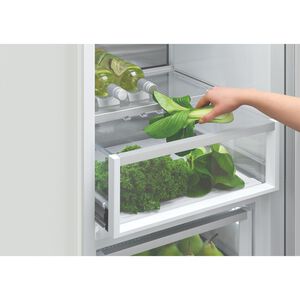Fisher & Paykel Series 9 24 in. 10.8 cu. ft. Built-In Smart Counter Depth Freezerless Refrigerator with Internal Water Dispenser - Custom Panel Ready, , hires