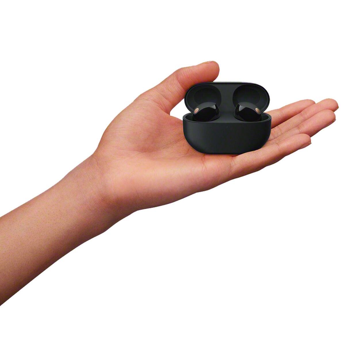 Sony - WF1000XM5 True Wireless Noise Cancelling Earbuds - Black