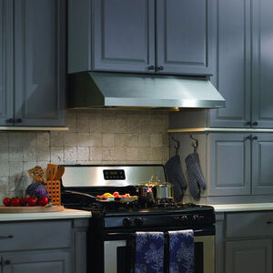 Vent-A-Hood 30 in. Standard Style Range Hood with 300 CFM, Ducted Venting & 2 LED Lights - Stainless Steel, , hires