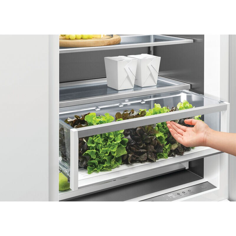 Fisher & Paykel Series 11 24 in. 12.0 cu. ft. Built-In Counter Depth Bottom Freezer Refrigerator with Internal Water Dispenser - Custom Panel Ready, , hires