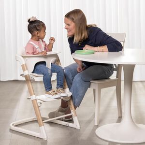 Evenflo RightSeat Multi-Stage High Chair - White, White, hires