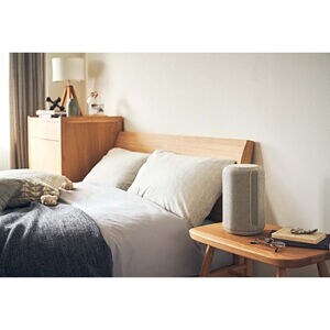 Sony Wi-Fi Enabled 360 Reality Audio Speaker - Gray, Gray, hires