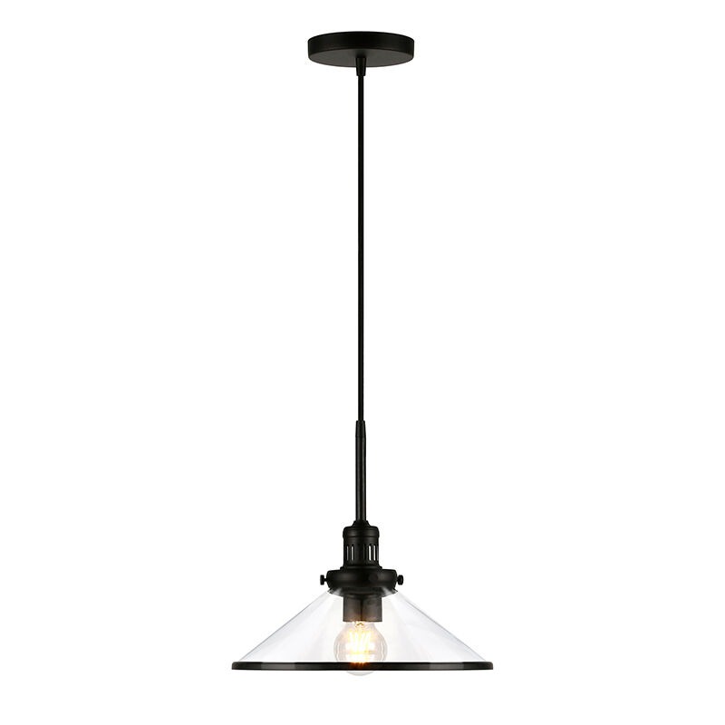 Hudson & Canal Milo 12.25 in. Pendant with Clear Glass - Blackened Bronze, , hires
