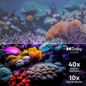 Element - 50" Class Revolution Series LED 4K UHD Smart XUMO TV, , hires