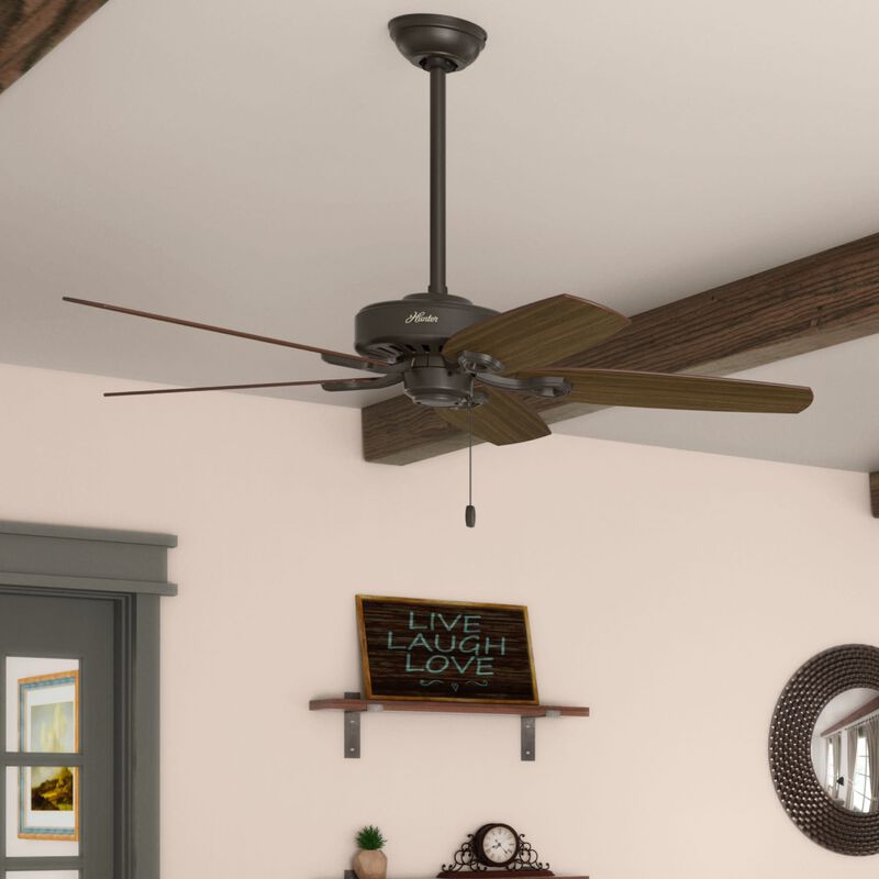 Hunter 52 inch Builder Ceiling Fan and Pull Chain - New Bronze, Bronze, hires
